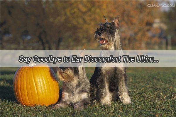 Say Goodbye to Ear Discomfort The Ultimate Guide to Treating Canine Ear Abscesses